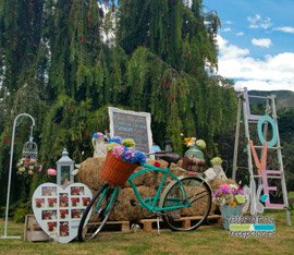 bodas vintage en bogota decoracion tematica vintage en bogota